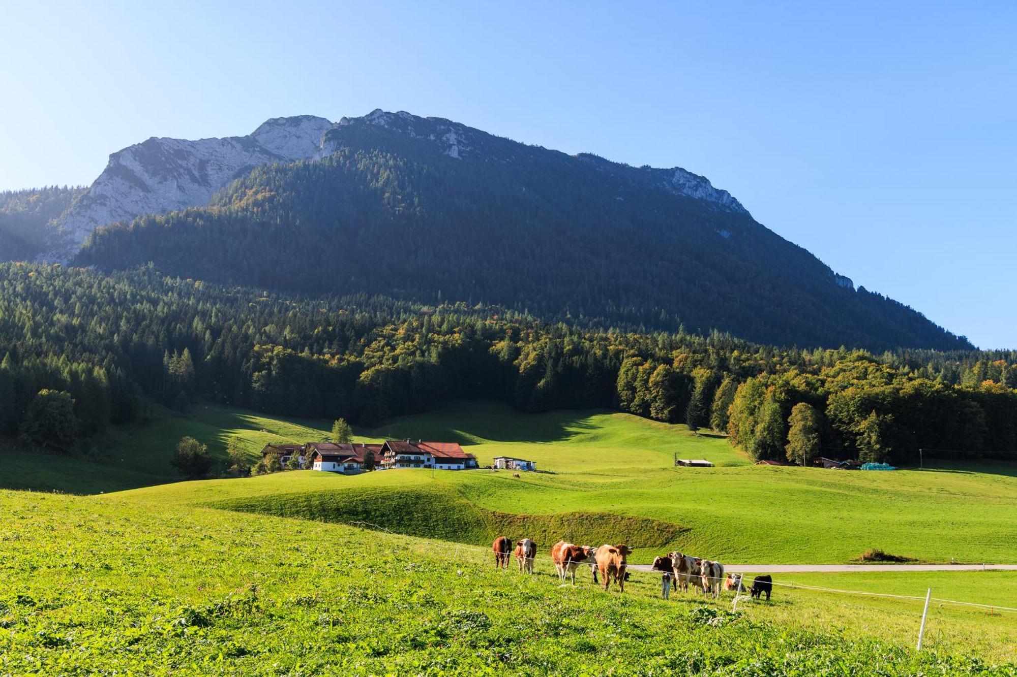 Oberaschenauer-Hof Villa Ruhpolding Exterior photo